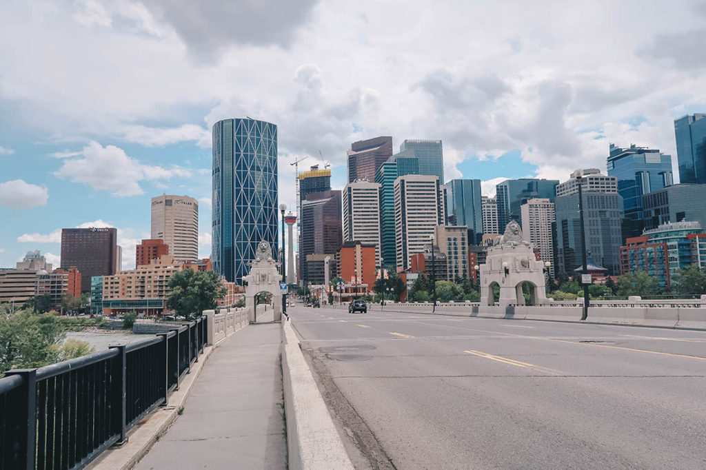Calgary City View
