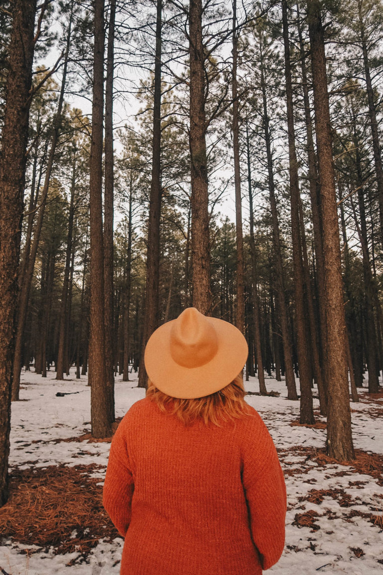 A Cozy Day in Flagstaff
