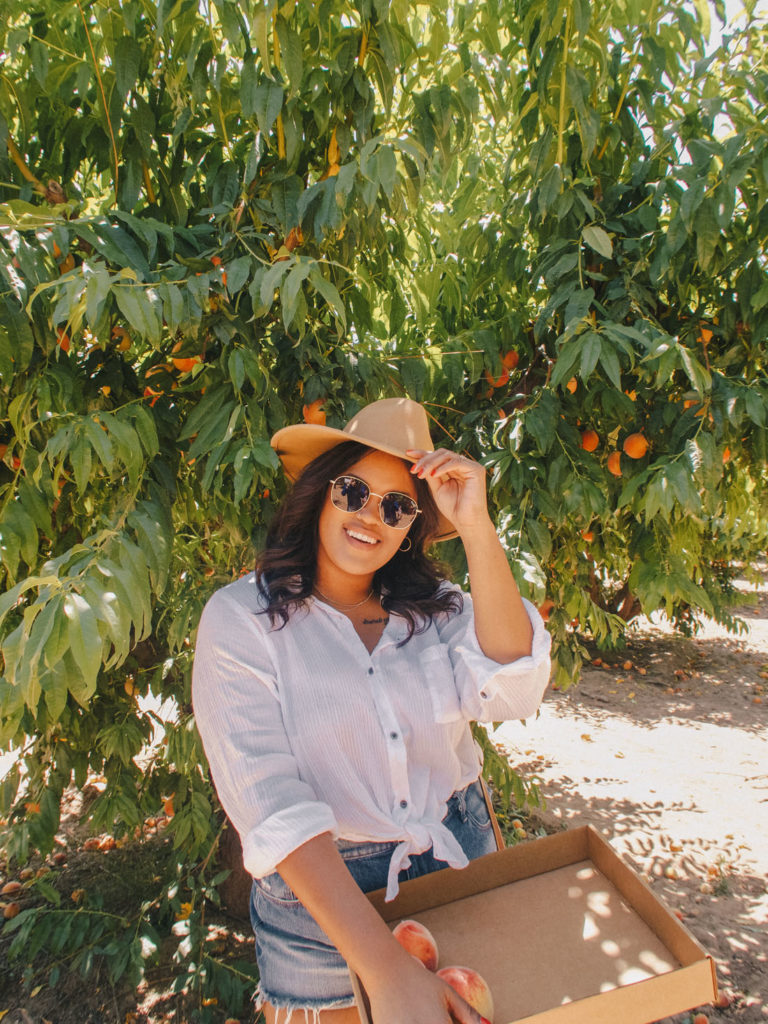 Peach Picking at Schnepf Farms