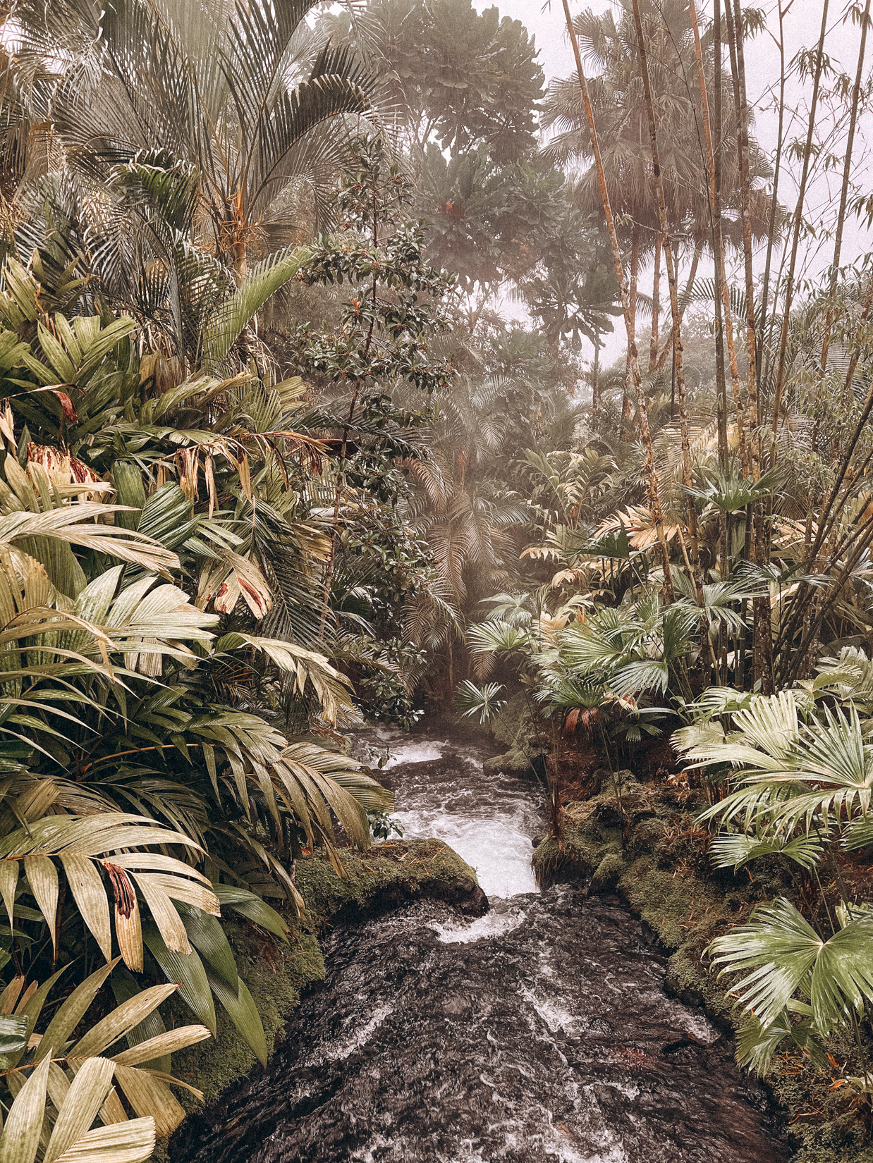 tabacon hot springs 