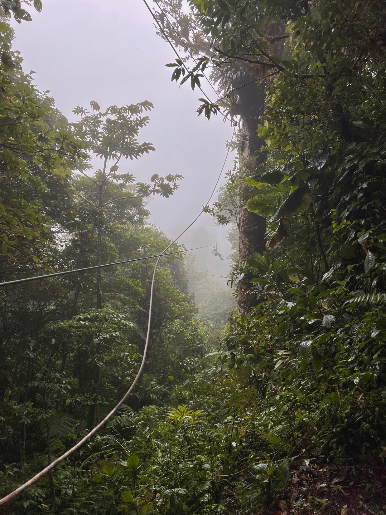 zip lining in costa rica at selvatura park