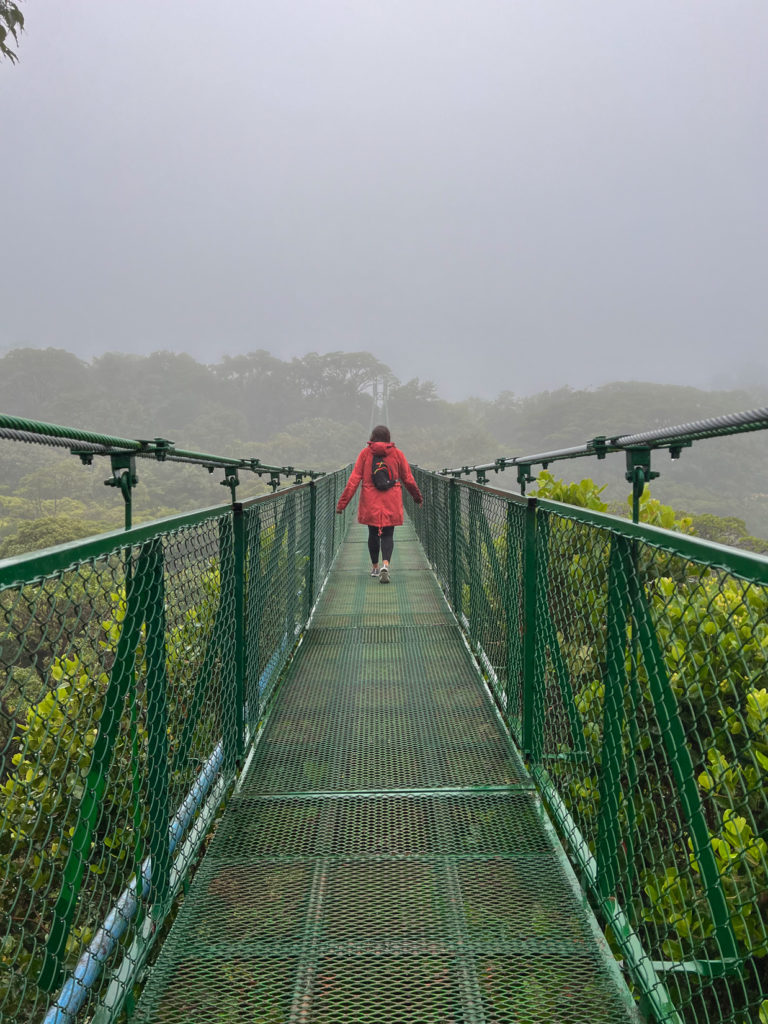 8 Awesome & Interesting Things to Do in Monteverde