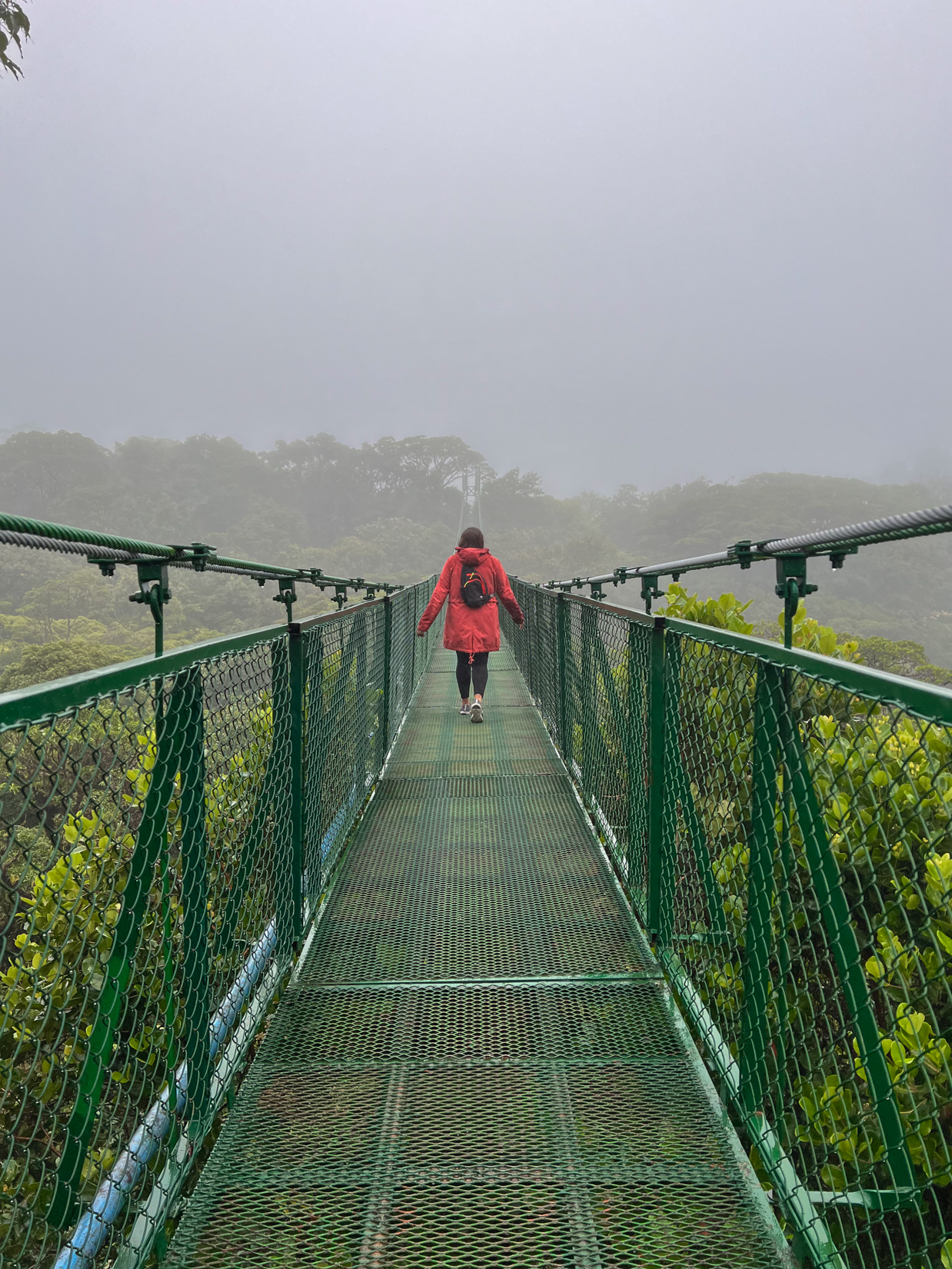 things to do in costa rica - hanging bridges at selvatura park in monteverde costa rica