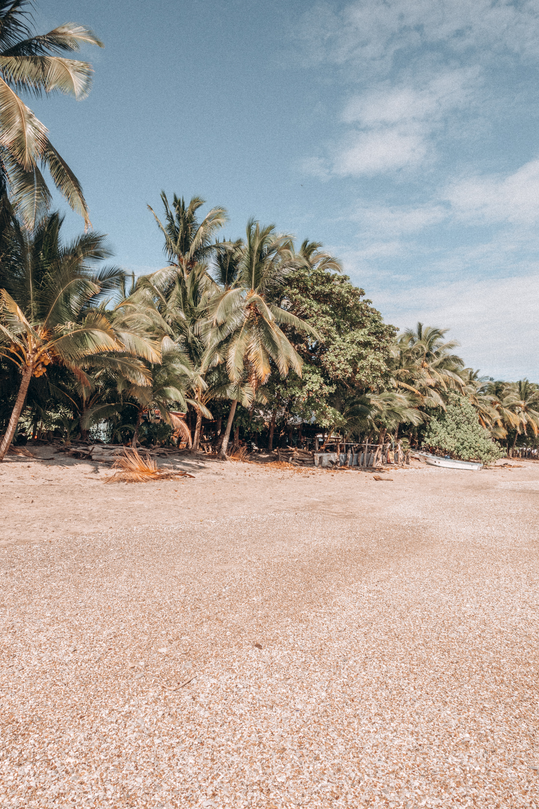 beach in Nosara