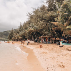 The Tropical Vacation Essentials You Need to Pack