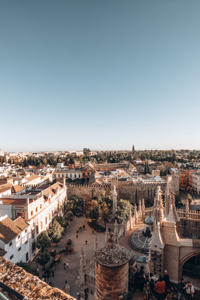 Seville Cathedral rooftop tour view