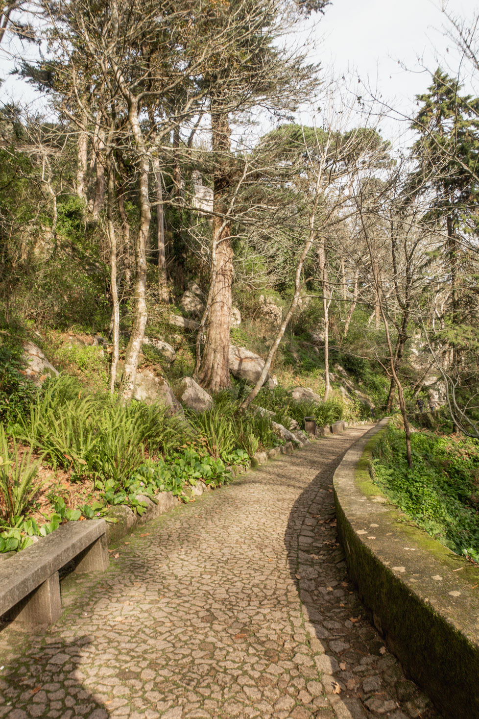 one day in sintra - moorish castle