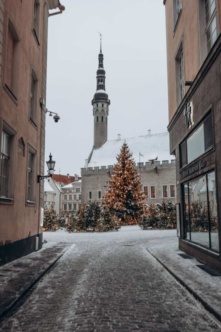 One Day in Tallinn: Helsinki to Tallinn Day Trip Guide