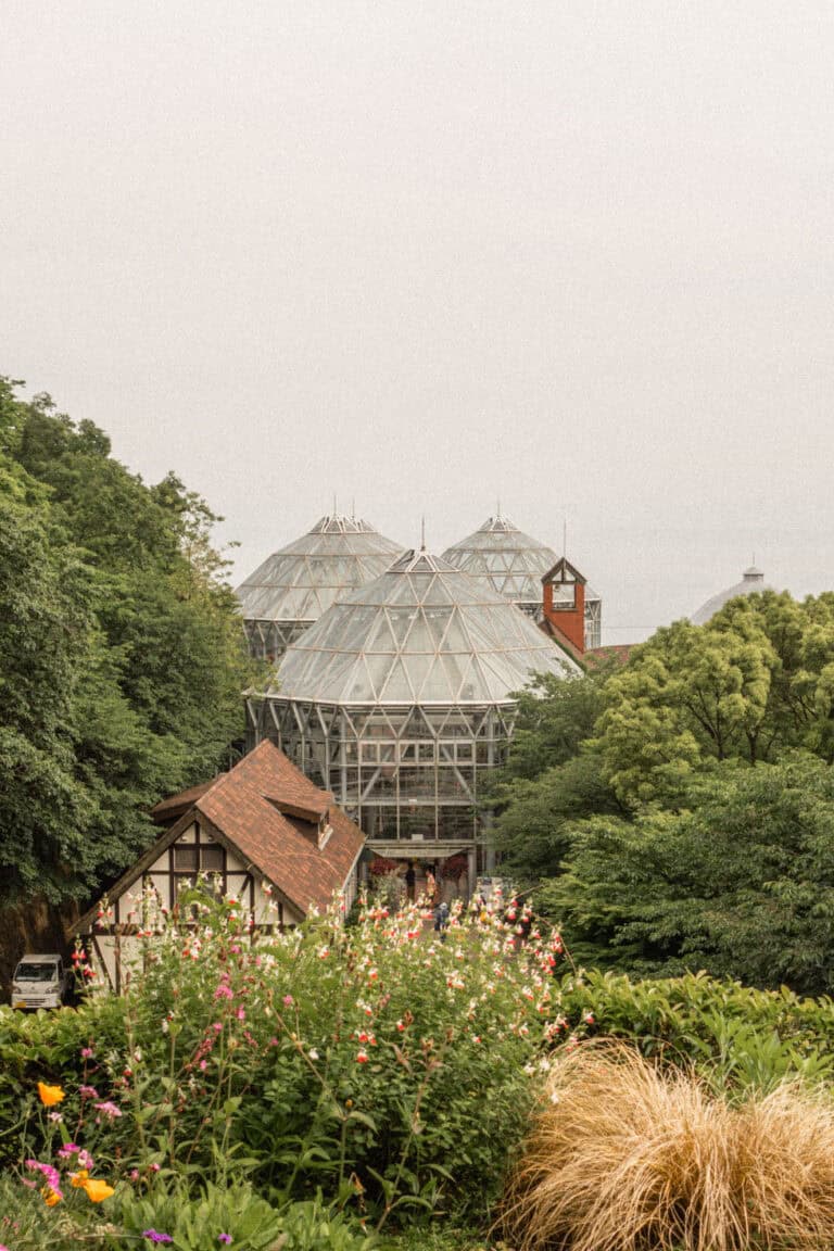 Complete Kobe Travel Guide + A One Day Kobe Itinerary